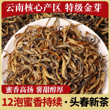 500�˽�z��t�� ����P�c�Ř��ѿ2025���� �Iһ�ﹲ�l�ɴ�