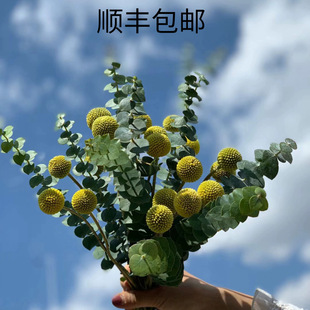 Gold Ball Eucalyptus Leaf Flower Bouquet DIY Material Living Room Bedroom Decoration Furnishings Scandinavian Style Literary Flower Arrangement