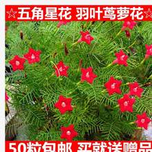 ���~�\�}���ܷN���ļ��׷NͥԺ������Ԯ��������ǻ���ɫ�L�}