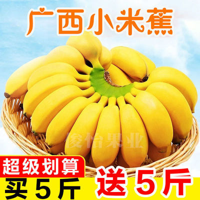 水果广西小米蕉香蕉批发整箱10斤芭蕉5非海南蕉2斤包邮代发厂批发
