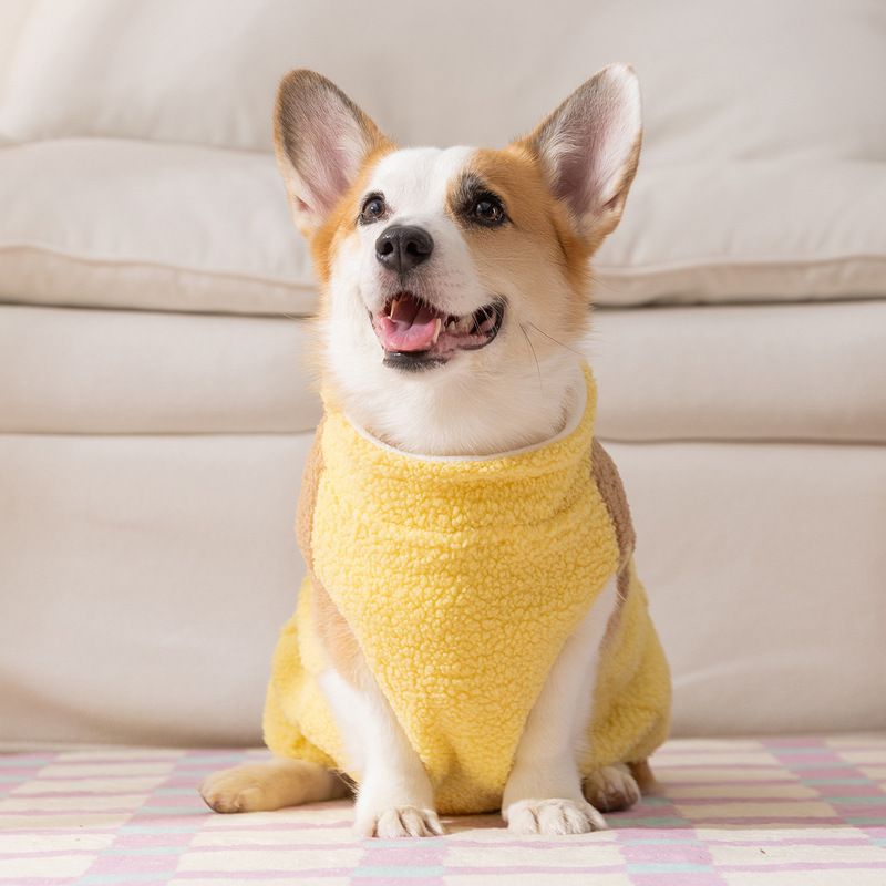 柯基狗狗衣服秋冬撞色小熊贴布中型犬保暖两脚绒衣腊肠犬宠物服饰|undefined