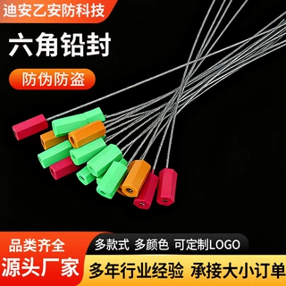 钢丝六角一次性铅封水电表防盗防伪封条抽紧式锁扣扎带六角铅封