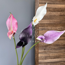 EVA�R��ɏ���滨��֦��c�ҾӲ廨�Ƶ�͏d����쾰�bٻ�ֱ�N