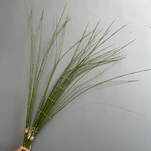 ���滨ľ�\ ���� �Ҿ��b�ˇ�廨��� �Ƶ�[�O�Gֲ��������