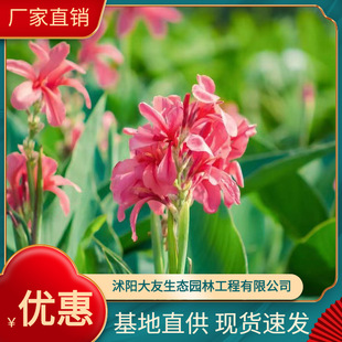 ����ֱ��  �t�� �S�� �ۻ� ���~ ���~���˽� ����ă�����ֱ�N