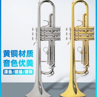 JINBAO��С̖������B�{���IJBTR- 300�S�~�ܳ��W�������WУ���F