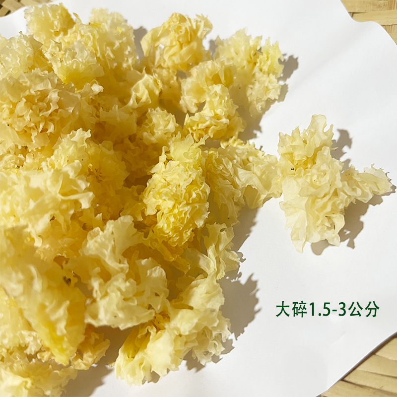 작은 흰 곰팡이