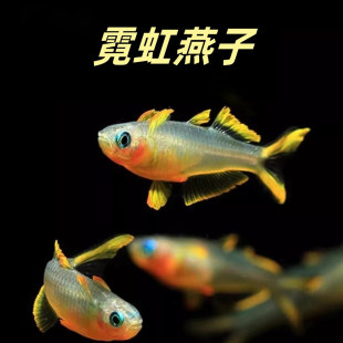 �޺������~���ɹ����鰢���ټt���ӟ����~�Ꭷ�^�p�~�����~���w��