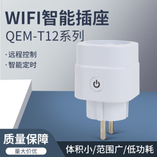 QEM-T12