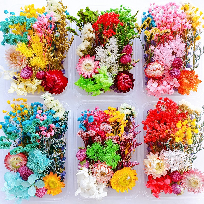 Materiales de Flores Secas Eternas para Manualidades de Jardín de Infancia, Marco de Fotos Flotante con Plantas, Fragancia Floral, Paquete de Materiales para Abanicos de Flores Secas, Venta al por Mayor