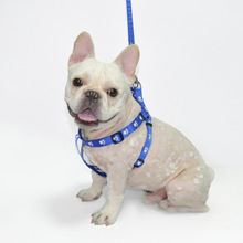 �����K�����Ȧ�ɼ�������������ɫӖ���K���RȮ���ײ�������؈�K