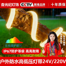 220v高压防水灯带自粘LED可水泡水户外亮化低压用24V低压灯条超亮