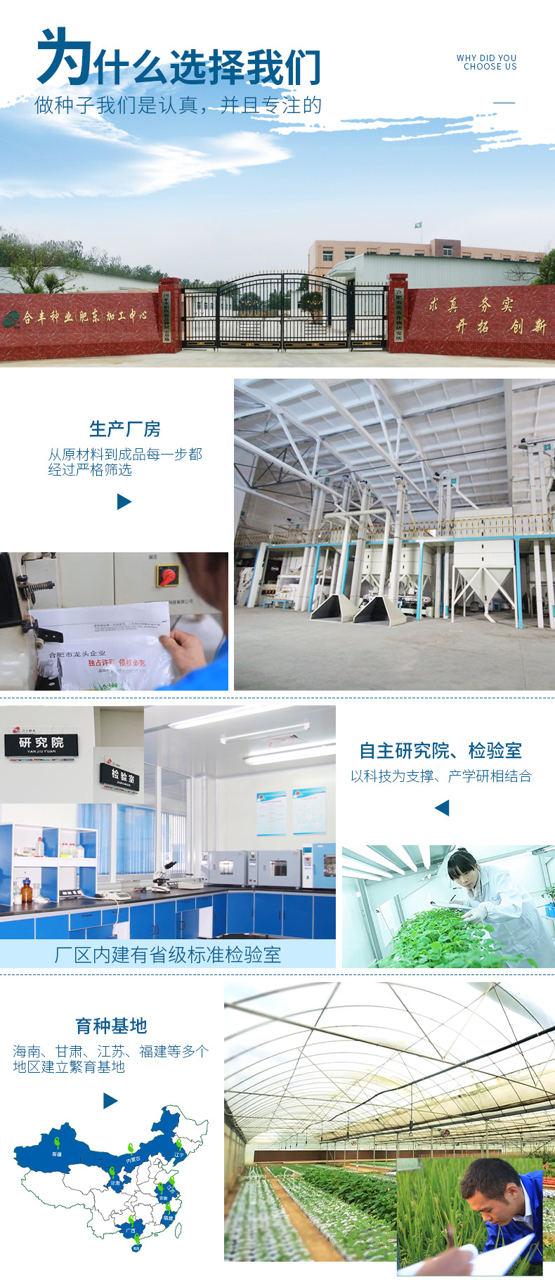 红花白荚四季豆详情页_07.jpg