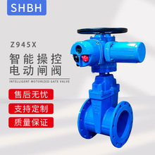 �綯բ��Z945X-16�ֻ����ܿ��ƿ��ص�����բ��220V380v���ֲ����