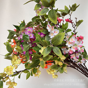 �����O�������Ļ��ѻ��滨��c�ٻ��ҾӔ[�O�����쾰����٘����