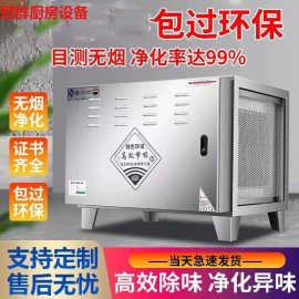 低空油烟净化器油烟机商用除烟处理器排烟环保餐饮烧烤净化器厨房