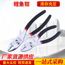 �F؛���l6��8�����~�Q�����Q�ܵ��S�޹��ߊA����Q�Ӱ���