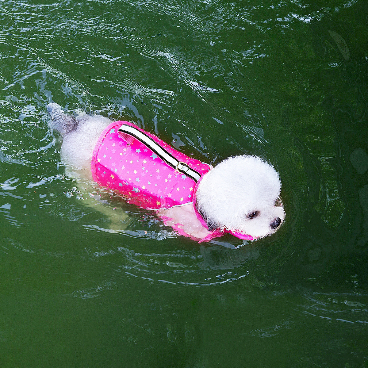 New Pet Dog Swimwear With Leash, Portable Life Jacket For Small, Medium, And Large Dogs, Summer Puppy Swimming Training_voghion.com