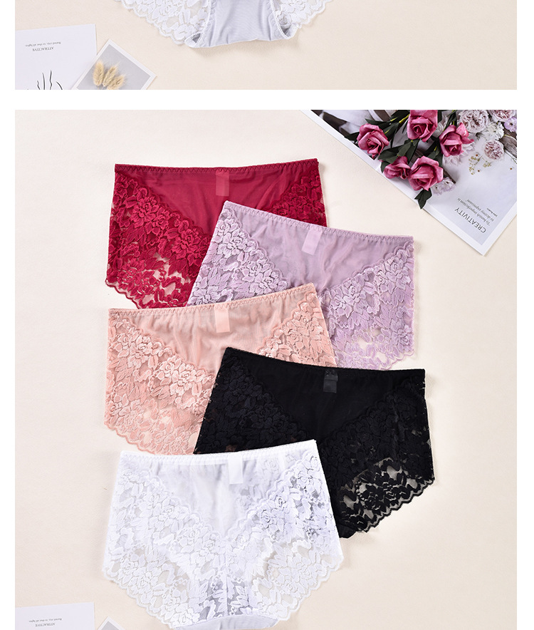 Sexy Lace Panties 9