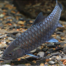 �¹ⴽ�{���_�~�絭ˮ�~�^�p�~�����~����ԭ���_�~�Lˮ�~Ⱥ�B���~