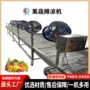 翻转式风干果蔬风机风干机