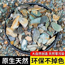 鱼缸底砂造景沙石摆件铺底天然溪流石乌龟缸石火山石石头原生