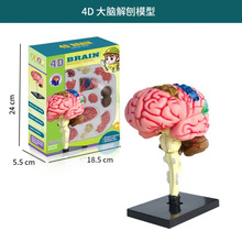 �羳4D���X����ģ��STEM�ƽ����w����ƴ�bģ���t�̌WDIY�������