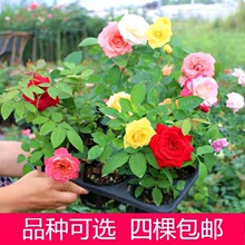 һ�����lС�������¼�����༾��������ٱ��¼��Nޱ��ͥԺ���@