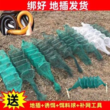 ���õز��S�X�\���q�WץС���r�����¿�Ӻ��S�X���q�\�X�~�W�r�\