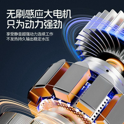 220V, High-Power, Portable Car Washing | Car washing machine