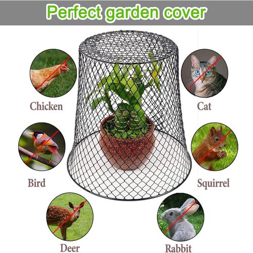 Amazon Iron Plant Protection Cover Garden Dome Seedling Fruit and Vegetable Protection Cage Raising and Maintenance Tool