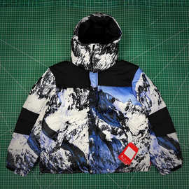 欧美潮牌秋冬经典限定联名款雪山高清印花羽绒服情侣刺绣logo外套