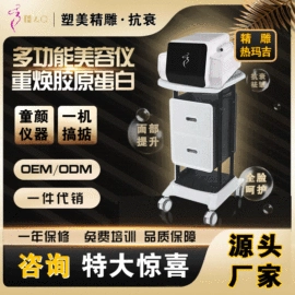电子美容仪;其他美体瘦身;商用美容仪