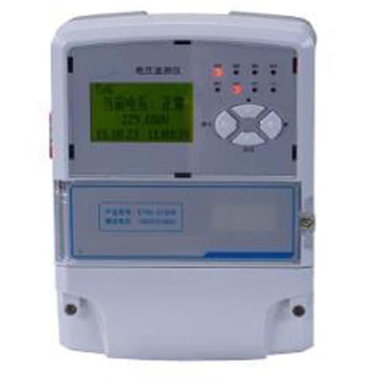 电压监测仪 型号YL12-DT60 库号M377179