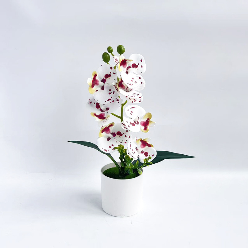 붉은 반점 (높이 31*가로 20cm)