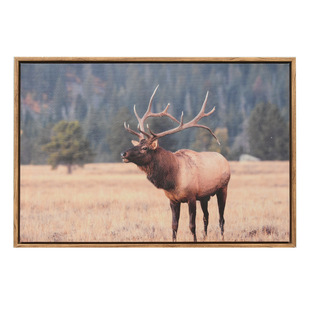 Retro Home Hanging Paintings, Living Room New Decorative Paintings, Bedroom Murals, Dining Table Wall Paintings