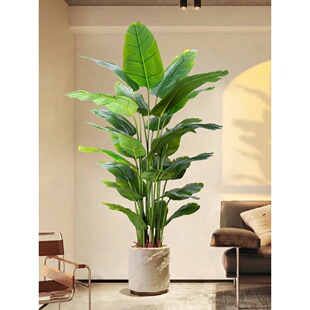 �����B�Gֲ�p�ݷ������͏d�����҃����Ԕ[���b��ֲ��