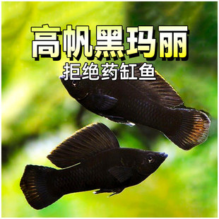 ̥���~�߷��ڬ����~�Ꭷ�����^�p�~���y����С�͵�ˮ�~���ֻ��w�~