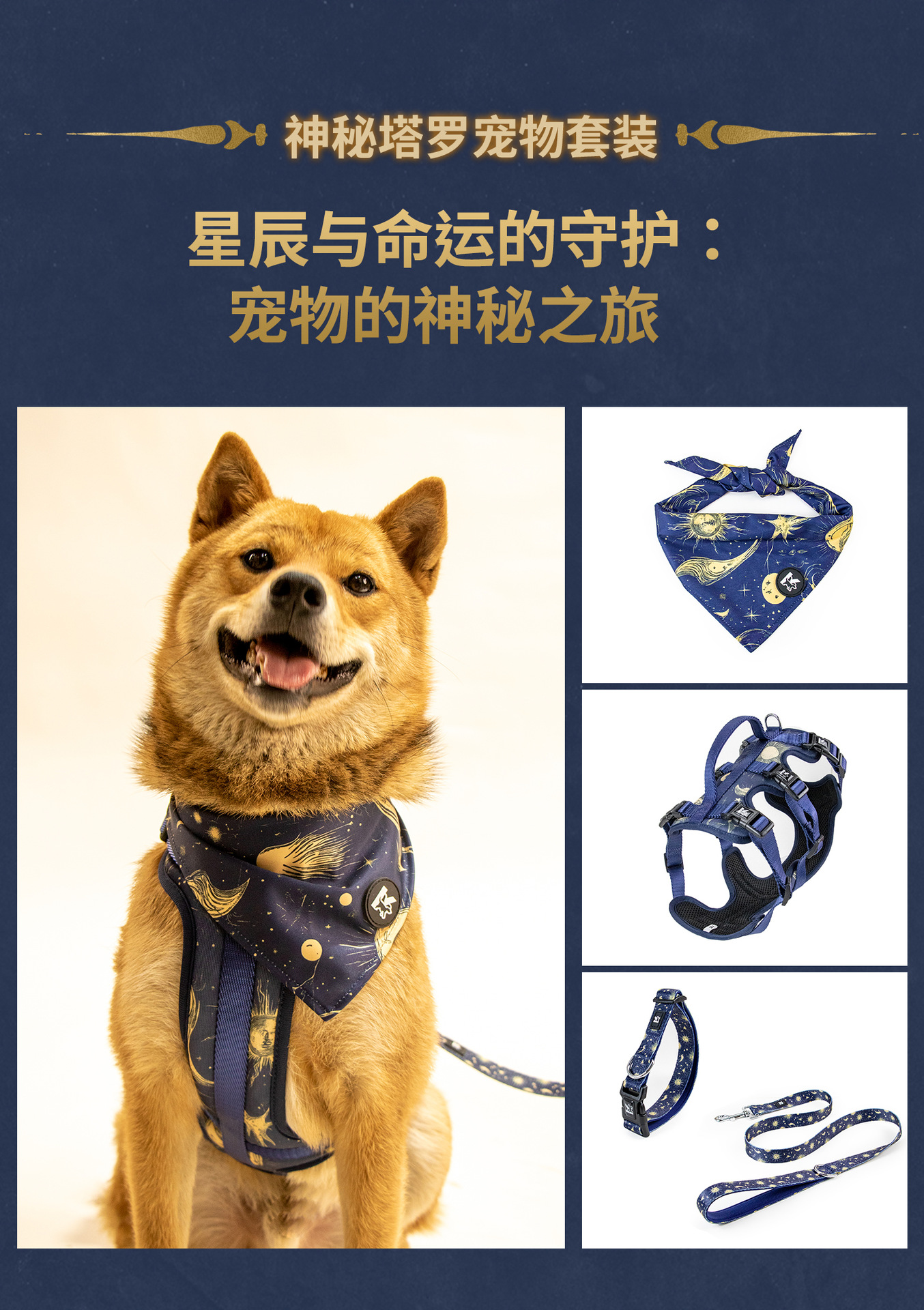 C端-塔罗详情页-中文_03.jpg