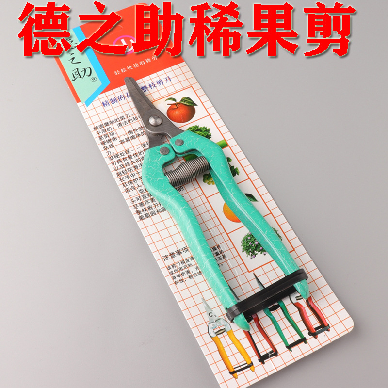 Dezhizhu rare fruit pruning pruning pruning pruning thinning pruning pruning blue handle upturned fruit pruning grape tomato harvesting