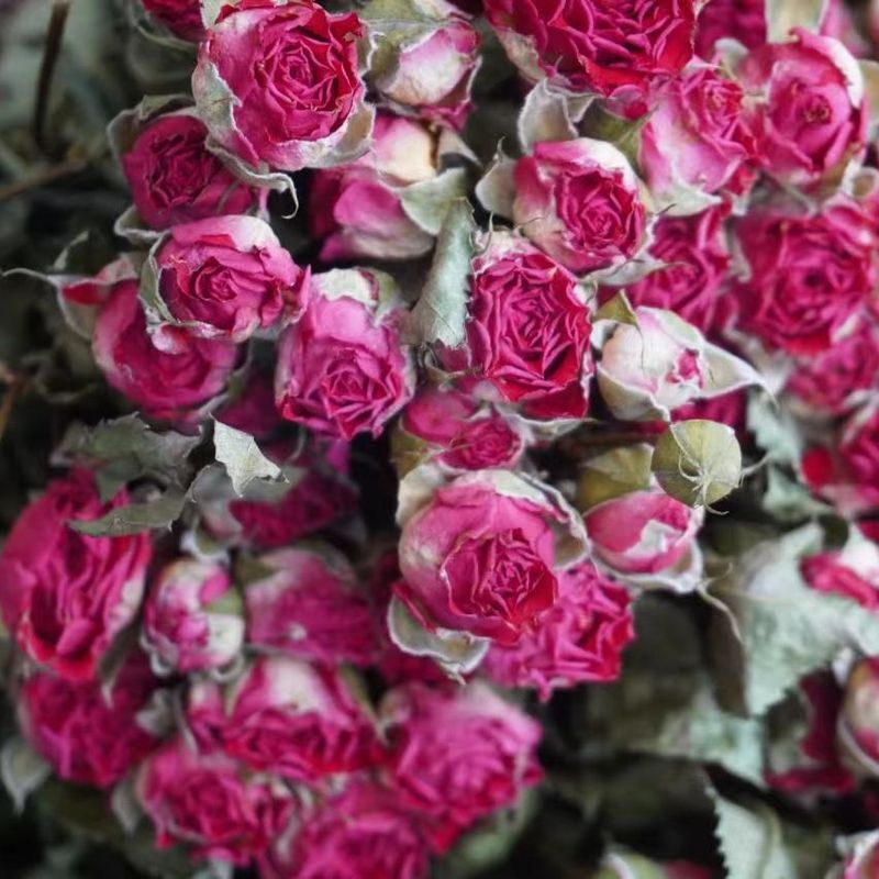 多頭バラ泡薔薇乾花薔薇花束雲南乾花滴糊花フォトフレーム花材補助材飾り|undefined