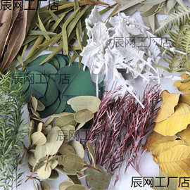 天然干树叶真树叶标本干花diy手工装饰材料包植物书签压花幼儿园