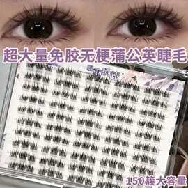 超大量粘胶款无梗蒲公英假睫毛根根分明上镜甜酷女神原生感睫毛