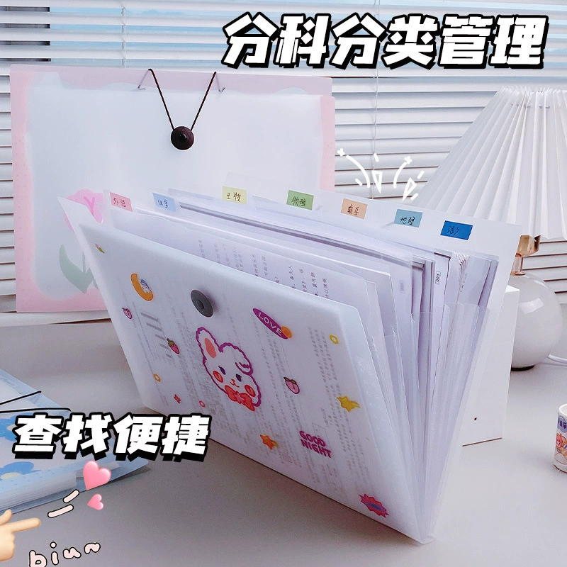 Capacious organ, multilayer bag for documents, storage system, folder for folders