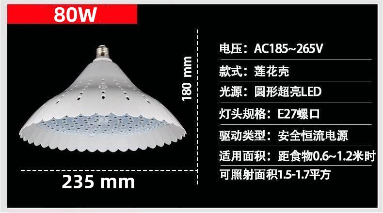 一键复制_20240605161523