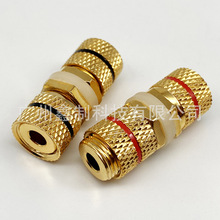���~僽���������Ⱦ������^4MM������\�㽶ĸ��ĸ���L�^