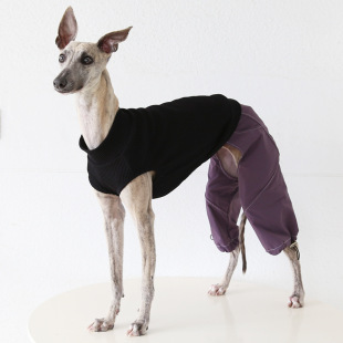 Petstyle ��ҹ�ϙC�����ѝ �����С�`���ݱ��،����·��羳���R