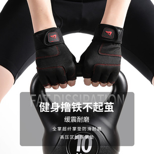 ����������Ů�����\���T��Ӗ��呟��e�؆�⏷�����ĥ͸����L�o��