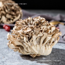 庆元灰树花500g干货头茬舞茸小花新货舞菇灰树菇栗蘑菊花菌舞茸茶