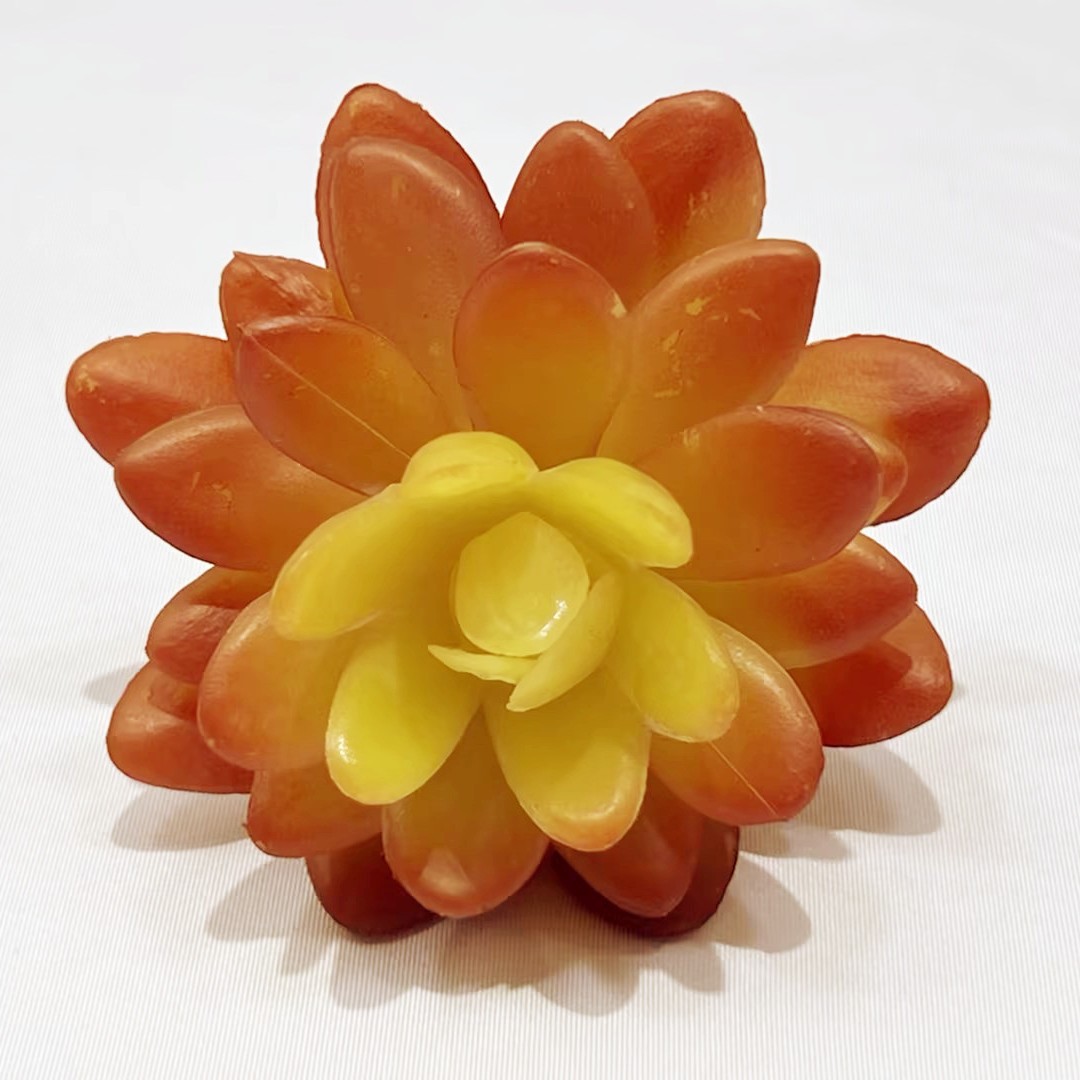 Marco decorativo Planta nórdica colgante de pared decoración de pared colgante de pared tridimensional pared de fondo de planta verde pared cabeza de ciervo simulación suculento planta verde